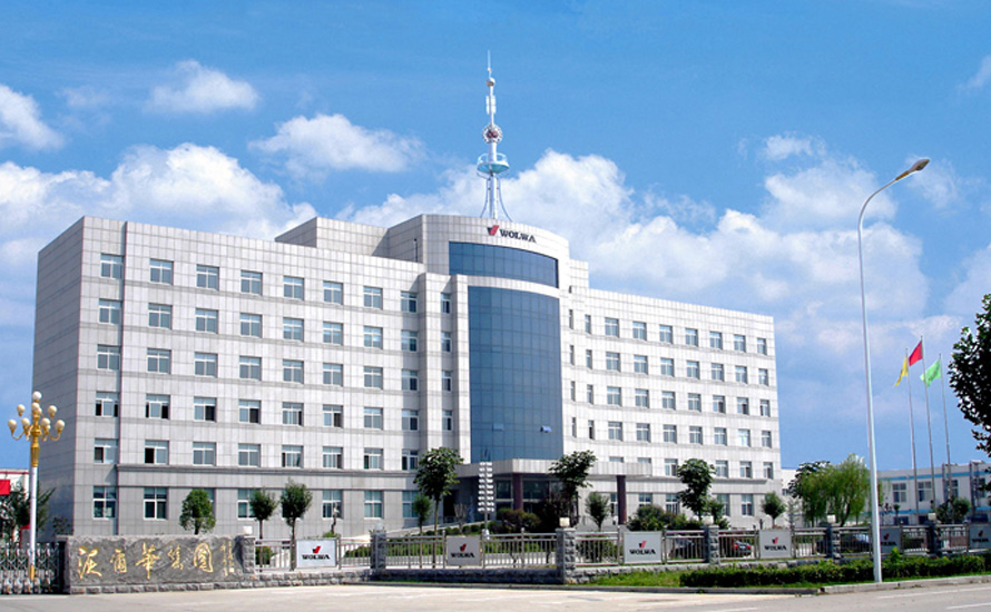 乐虎88国际集团简介