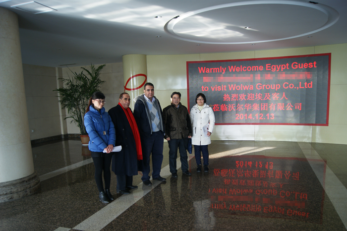 埃及客户访问乐虎88国际集团