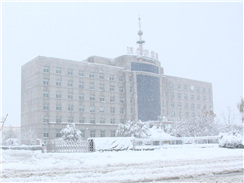 瑞雪兆丰年，踏雪乐虎88国际